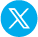 x icon